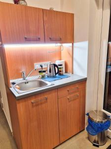 a kitchen with wooden cabinets and a sink at Studio Virgo in Jizerní Vtelno +3 photos