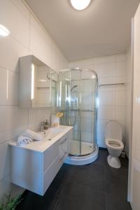 a bathroom with a shower and a sink and a toilet at Steam Apartments - Eidhøgda 6 in Tromsø +14 photos