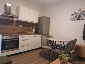 Kuchyň nebo kuchyňský kout v ubytování Apartman Damir