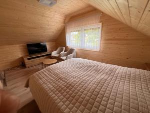 una camera con letto e televisore di Domek Willa Garden a Ustronie Morskie