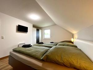 une chambre avec un grand lit et une télévision à écran plat dans l'établissement Ferienhaus Hexenpfad Bettw Handtücher inklusive, à Hasselfelde