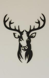 a wall mounted stag head with antlers at Hotel Bergkristall in Willingen