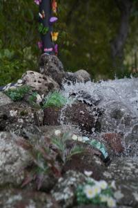 Φυσικό τοπίο κοντά σε αυτό το διαμέρισμα