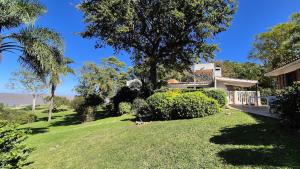a house with a tree and a grassy yard at Casa Paraíso, Britopolis, Beachfront in Fomento +42 photos
