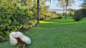 a teddy bear sitting on a bench in the grass at Casa Paraíso, Britopolis, Beachfront in Fomento