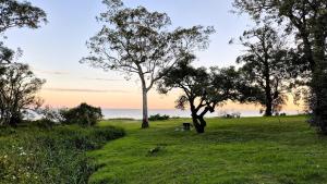 a park with trees and the ocean in the background at Casa Paraíso, Britopolis, Beachfront in Fomento