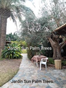 Zahrada ubytování Sun & Palm Trees