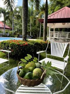 a basket of fruit sitting on a table next to a chair at Stela Garden Villas in Compostela