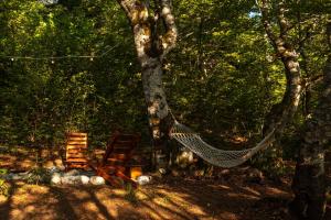 a hammock hanging from a tree in a forest at Mountain Tree House Komovi-Radunovic  +52 photos