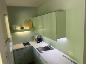 a small kitchen with green cabinets and a sink at Landhaus Lärchenhof Luxury Apartments in Sattendorf