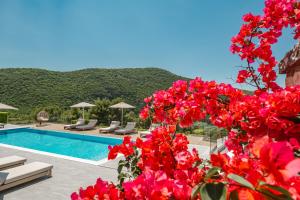 Bazén v ubytování Ninemia Luxury Residence nebo v jeho okolí