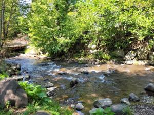 a river with rocks and trees and a bridge at Forest-House in Praid +4 photos