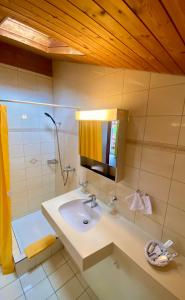 a bathroom with a sink and a shower with a mirror at Gasthof zum Roten Löwen in Hildisrieden +32 photos