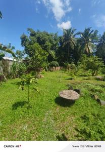 a green field with a rock in the grass at Bale bangket in Kotaraja