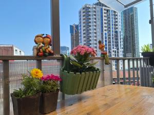 un tavolo su un balcone con fiori e animali di peluche di Chase Dream Hostel追梦空间 a Batumi