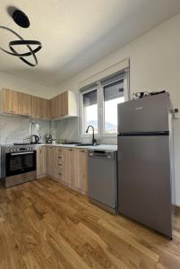 Kuchyň nebo kuchyňský kout v ubytování Apartman Tasic