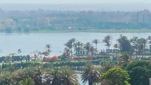 una vista de un cuerpo de agua con palmeras en Luxurious panoramic Nile view room, en El Cairo