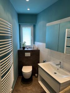 a blue bathroom with a toilet and a sink at Nathanael Ferienwohnung mit Küche, WLAN & 4 Schlafzimmern in Werne an der Lippe +37 photos