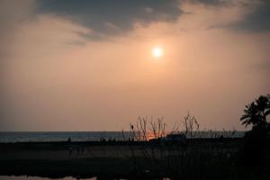 Gallery image of Beach House in Kozhikode