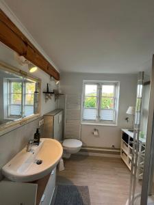 a bathroom with a sink and a toilet and two windows at Ferienhaus Emma in Langelsheim