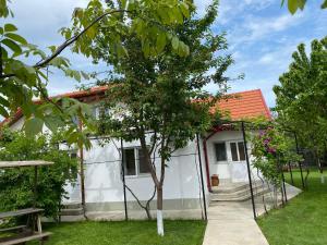 ヴァマ・ヴェケにあるCasa Porumbelul Vama Vecheのギャラリーの写真