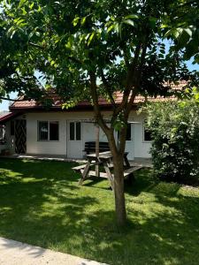 ヴァマ・ヴェケにあるCasa Porumbelul Vama Vecheのギャラリーの写真