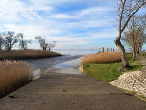 a road next to a body of water with a tree at Julie in Saint-Bonnet-sur-Gironde