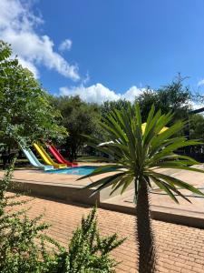 a palm tree in front of a pool with surfboards at Ingonyama Rest in Marloth Park