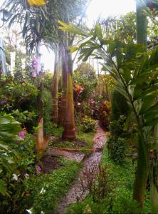 Fotografie z fotogalerie ubytování Les azalées v destinaci Antsirabe