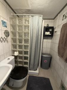 une petite salle de bain avec toilettes et douche dans l'établissement Aloha Corralejo, à Corralejo