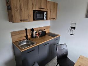 Köök või kööginurk majutusasutuses Apartma Martin