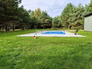 a dog laying in the grass next to a pool at Sosny i Róże in Domysłów