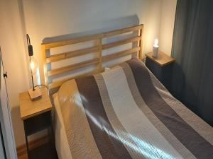 Postel nebo postele na pokoji v ubytování Apartments Trstenica