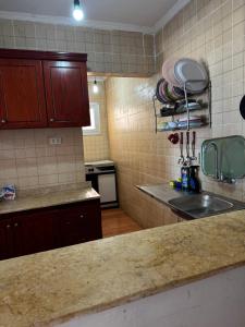 eine Küche mit Spüle und Arbeitsplatte in der Unterkunft Marseilia Resort in Al Ḩammām