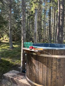 Fotografie z fotogalerie ubytování PAUS puhkemaja v destinaci Põõsaspea