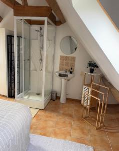 a bathroom with a shower and a sink in a attic at Maison campagne proche Disney au calme in Saint-Cyr-sur-Morin