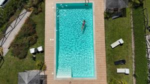 an overhead view of a person in a swimming pool at Casa dei Sogni d'Oro in San Pietro