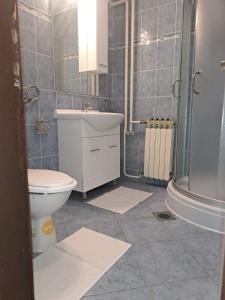 a bathroom with a toilet and a sink and a shower at Apartments vila Vanda in Poreč +46 photos