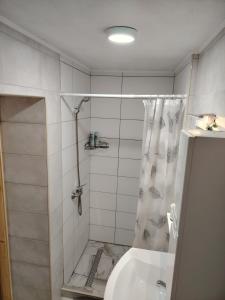 a bathroom with a shower and a toilet and a sink at AURORA in Visoko