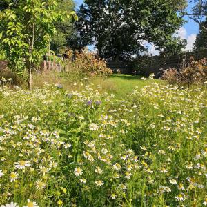 Zahrada ubytování The Workshop