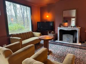 Una sala de estar con un sofá y una chimenea. en Domaine des Quatre Vents, en Nançay