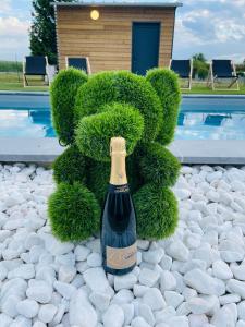a bottle of wine in the shape of a bear at Lady Tipi 3  +10 photos