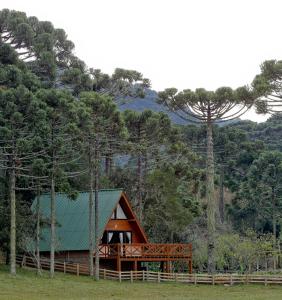 a cabin in the woods with a green roof at Pousada Encanto Verde in Bom Jardim da Serra
