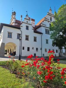 Vonkajšia záhrada v ubytovaní Apartment in a historical house in the center of Levoča