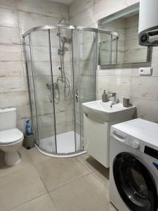 Koupelna v ubytování Apartmány Daros