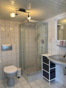 a bathroom with a shower and a toilet and a sink at FeWo-Viktoria in Rheinau +2 photos