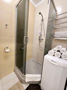 ein Bad mit einer Dusche, einem WC und Handtüchern in der Unterkunft Haustory Palanga Apartment in Palanga