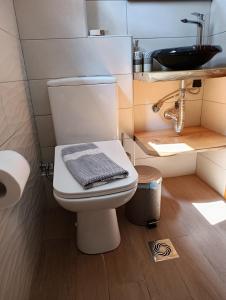 a bathroom with a white toilet and a sink at Irida Studios in Agios Ioannis Pelio