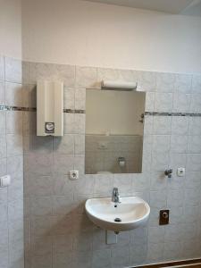 a bathroom with a sink and a mirror at Residenz Alte Schule in Neukalen