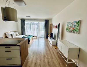a room with a bed and a desk and a kitchen at Sunny apartment BRNO in Královo Pole